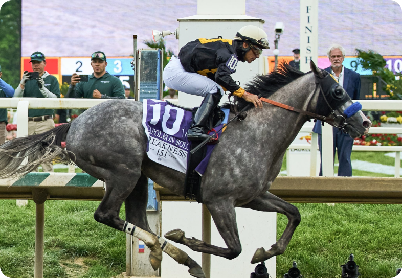 Preakness Stakes